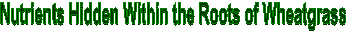 Nutrients Hidden Within the Roots of Wheatgrass